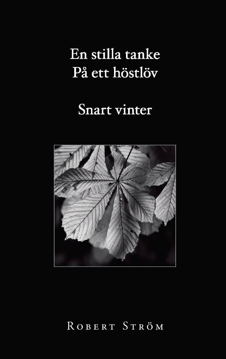 Robert Ström : En stilla tanke på ett höstlöv snart vinter