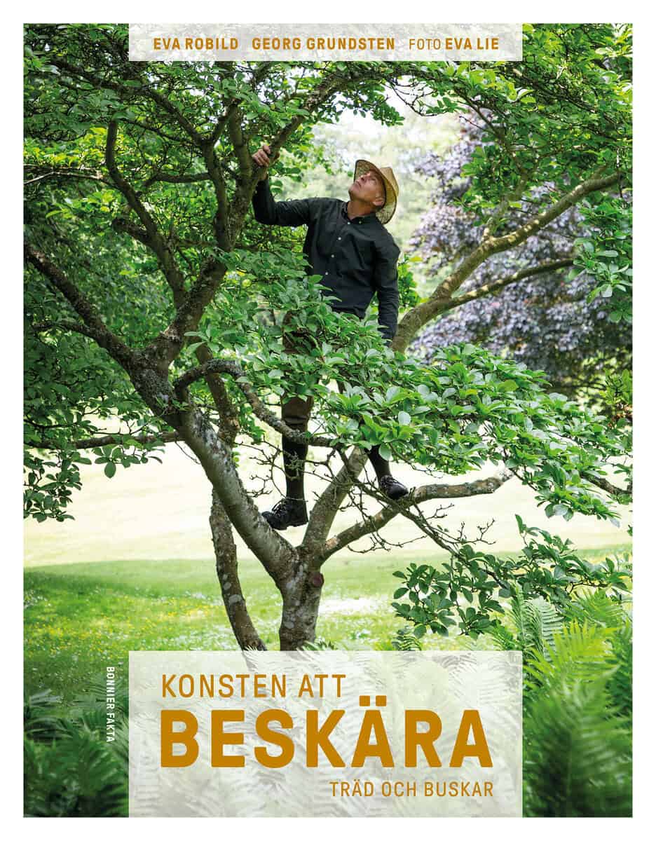 Robild, Eva ; Grundsten, Georg : Konsten att beskära : träd och buskar