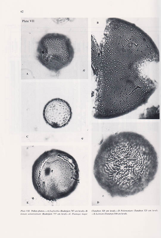 Roger Engelmark : The Comparative Vegetational History of Inland and Coastal Sites in Medelpad, N Sweden, during the Iron Age