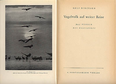 Rolf Dircksen : Vogelvolk auf weiter Reise