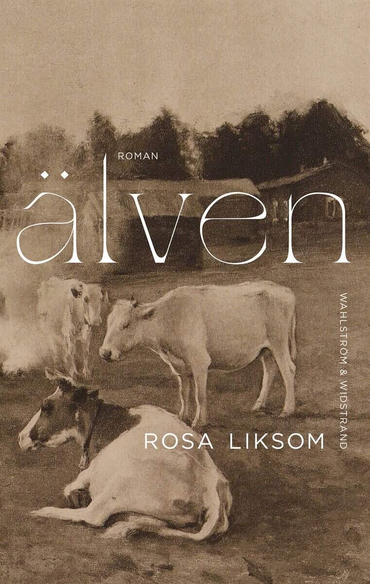 Rosa Liksom : Älven