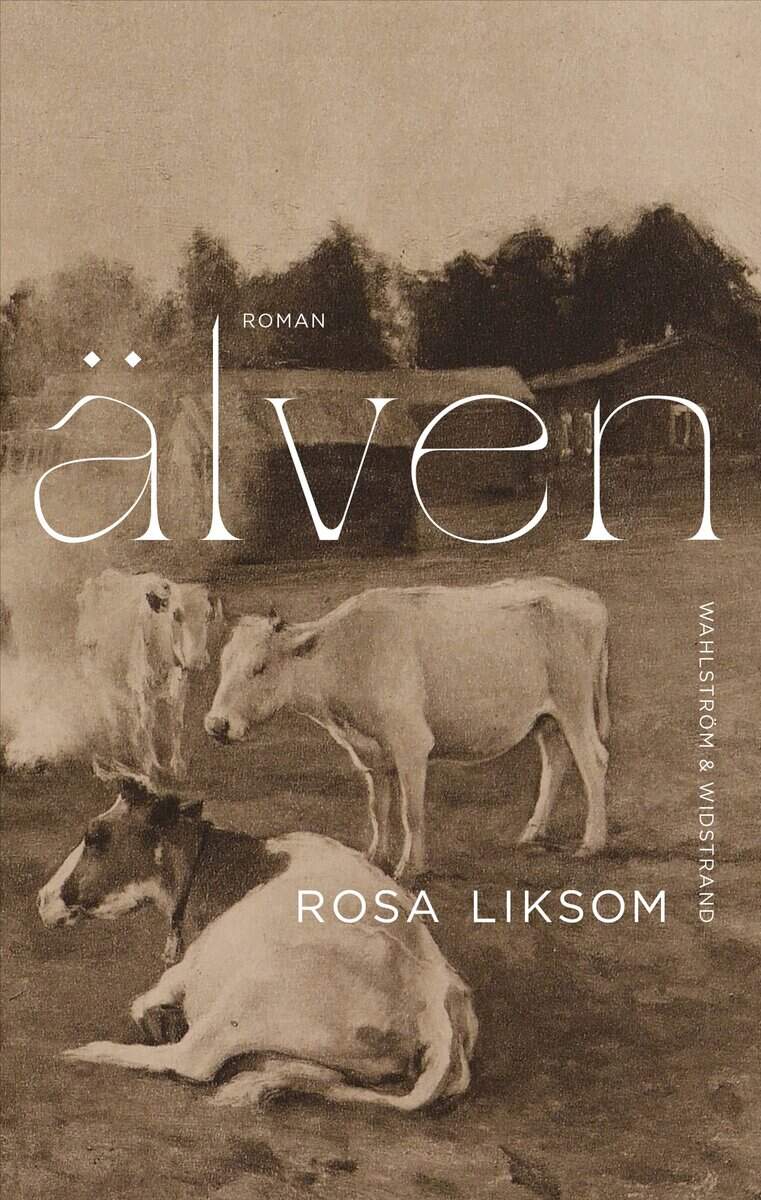 Rosa Liksom : Älven