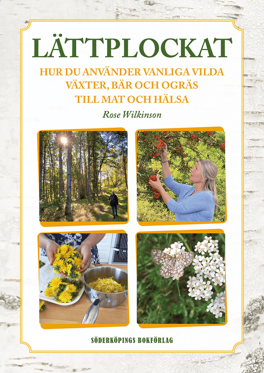 Rose Wilkinson : Lättplockat : hur du använder vanliga vilda växter, bär och ogräs till mat och hälsa