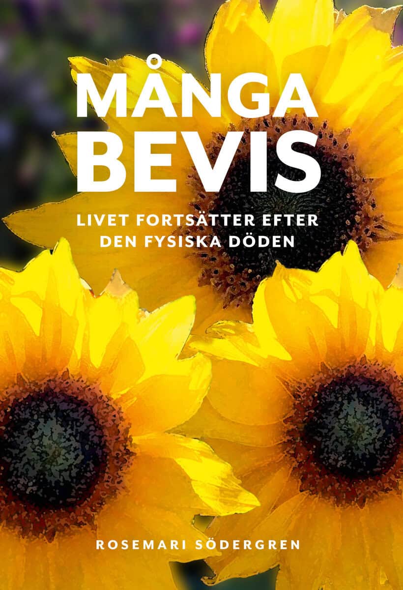 Rosemari Södergren : Många bevis : livet fortsätter efter den fysiska döden