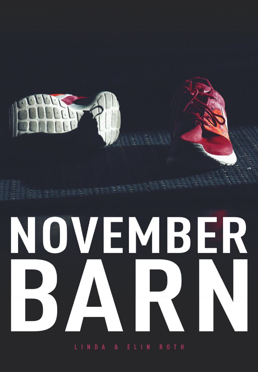 Roth, Linda ; Roth, Elin : Novemberbarn