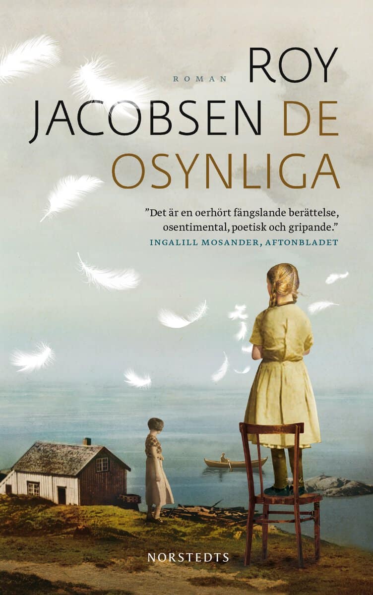 Roy Jacobsen : De osynliga