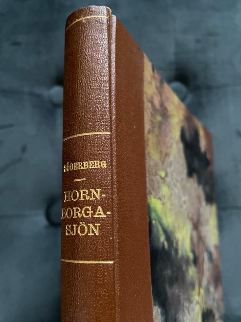 Rudolf Söderberg : Hornborgasjön och dess fornsjöområde