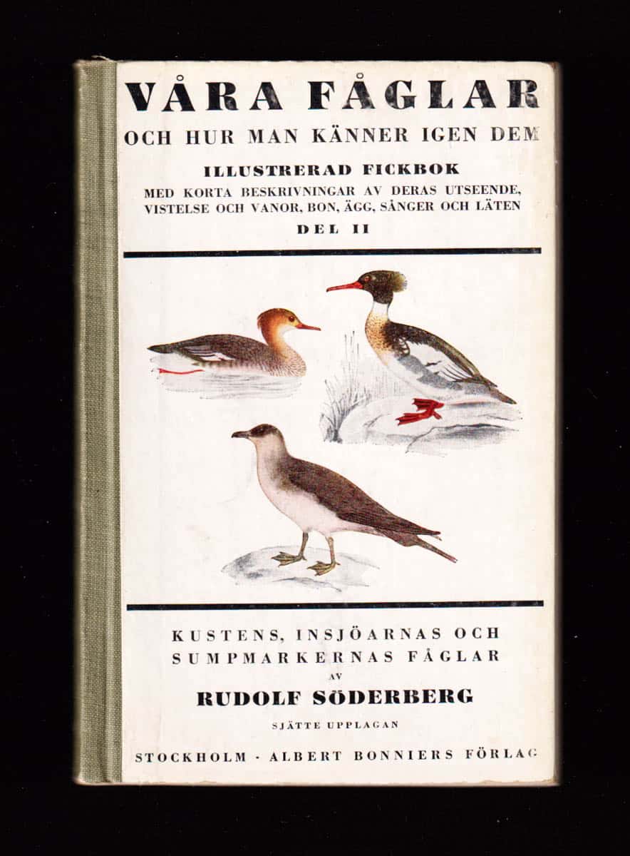 Rudolf Söderberg : Våra fåglar och hur man känner igen dem