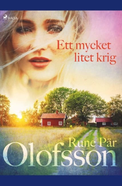 Rune Pär Olofsson : Ett mycket litet krig