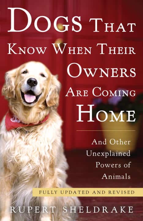 Rupert Sheldrake : Dogs That Know When Their Owners Are Coming Home