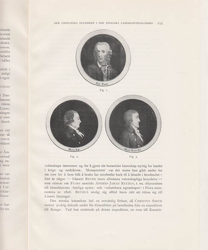 Rutger Sernander : Den Linnéanska botaniken i den engelska landskapsträdgården
