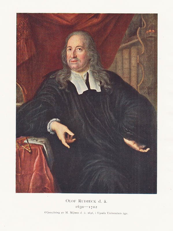 Rutger Sernander : Olof Rudbeck d.ä.