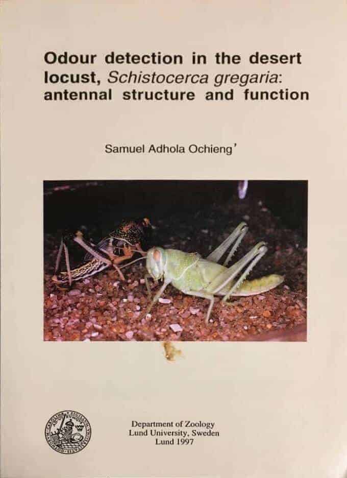 S A Ochieng : Odour detection in the desert locust, Schistocerca gregaria, antennal structure and function