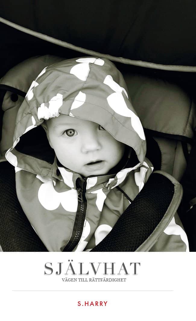 S. Harry : Självhat : vägen till rättfärdighet