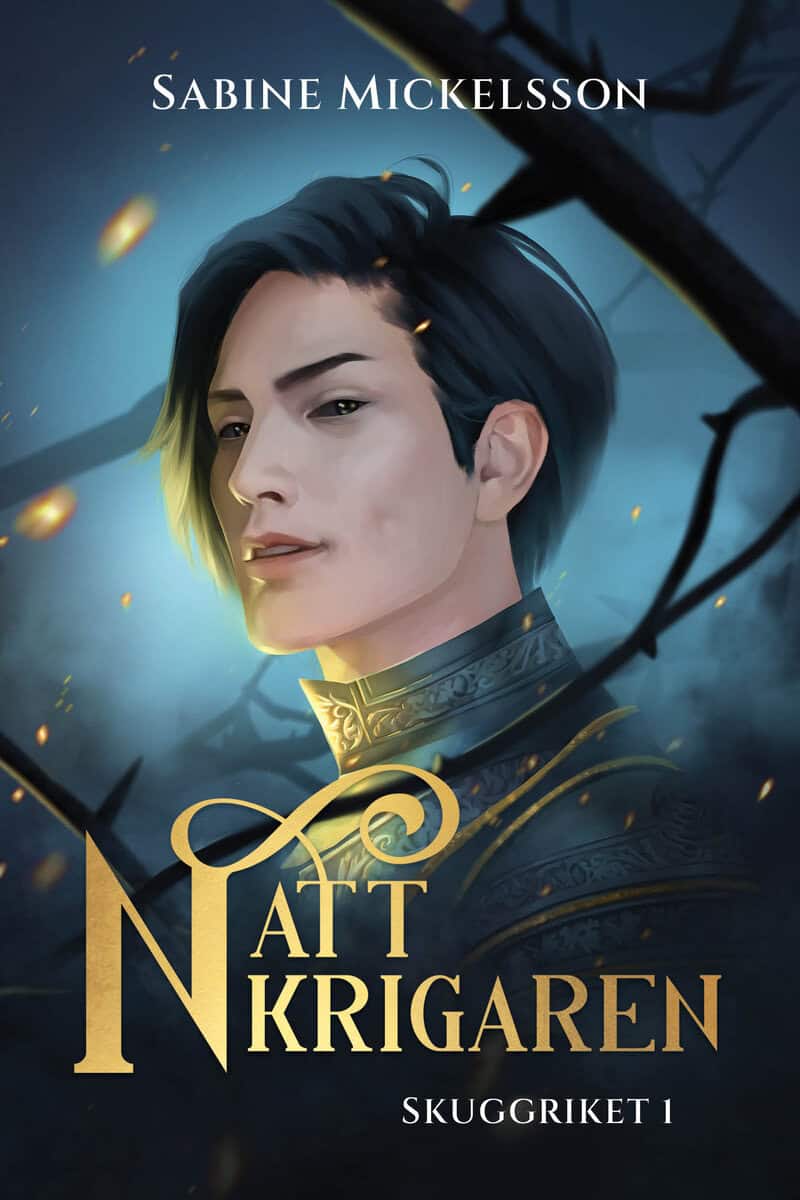 Sabine Mickelsson : Nattkrigaren