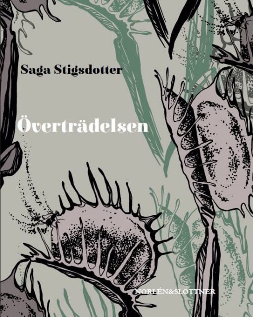 Saga Stigsdotter : Överträdelsen