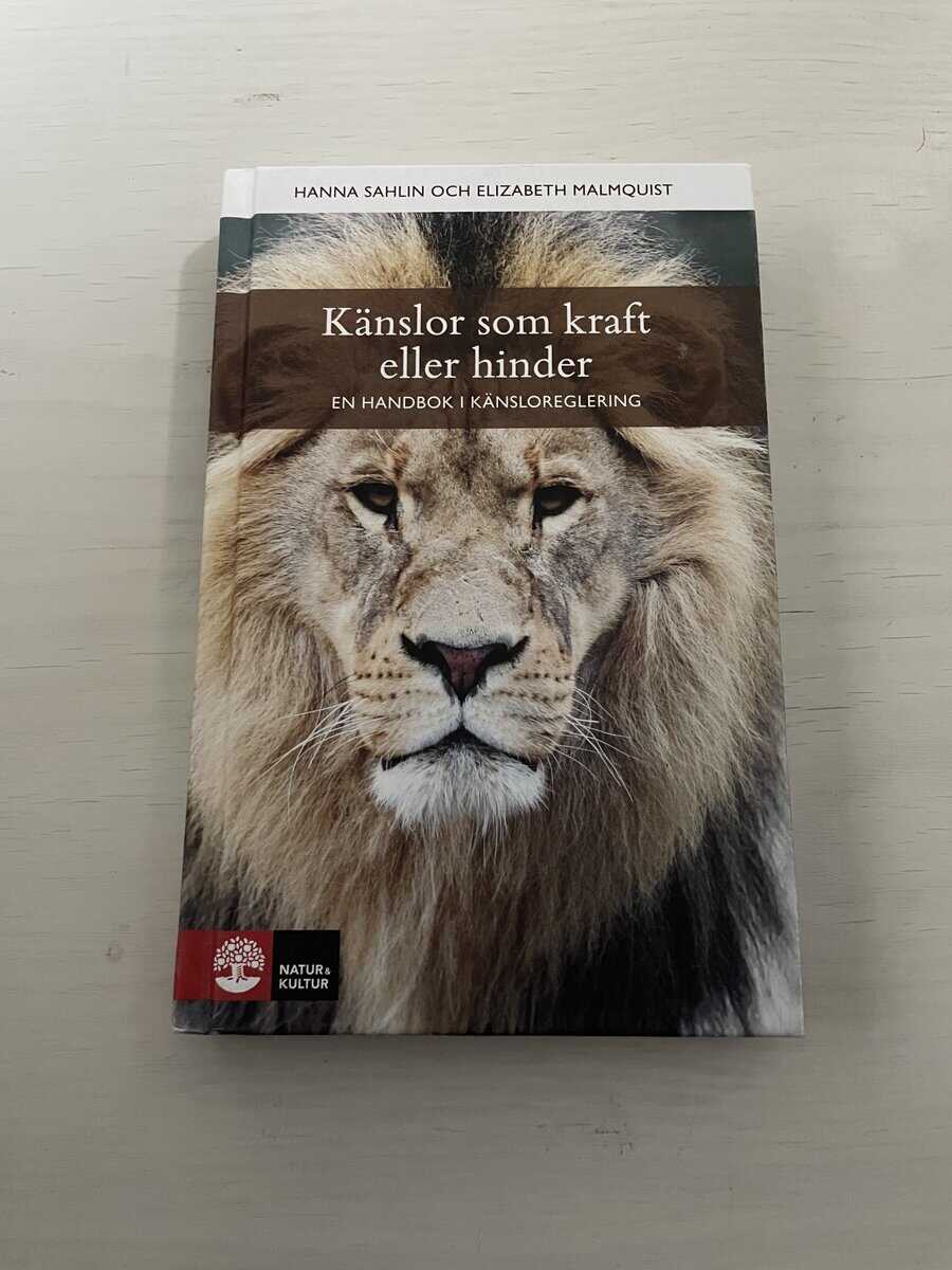 Sahlin, Hanna, Malmquist, Elizabeth : Känslor som kraft eller hinder