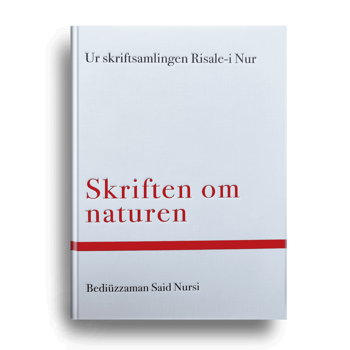 Said Nursi : Den tjugotredje blixten
