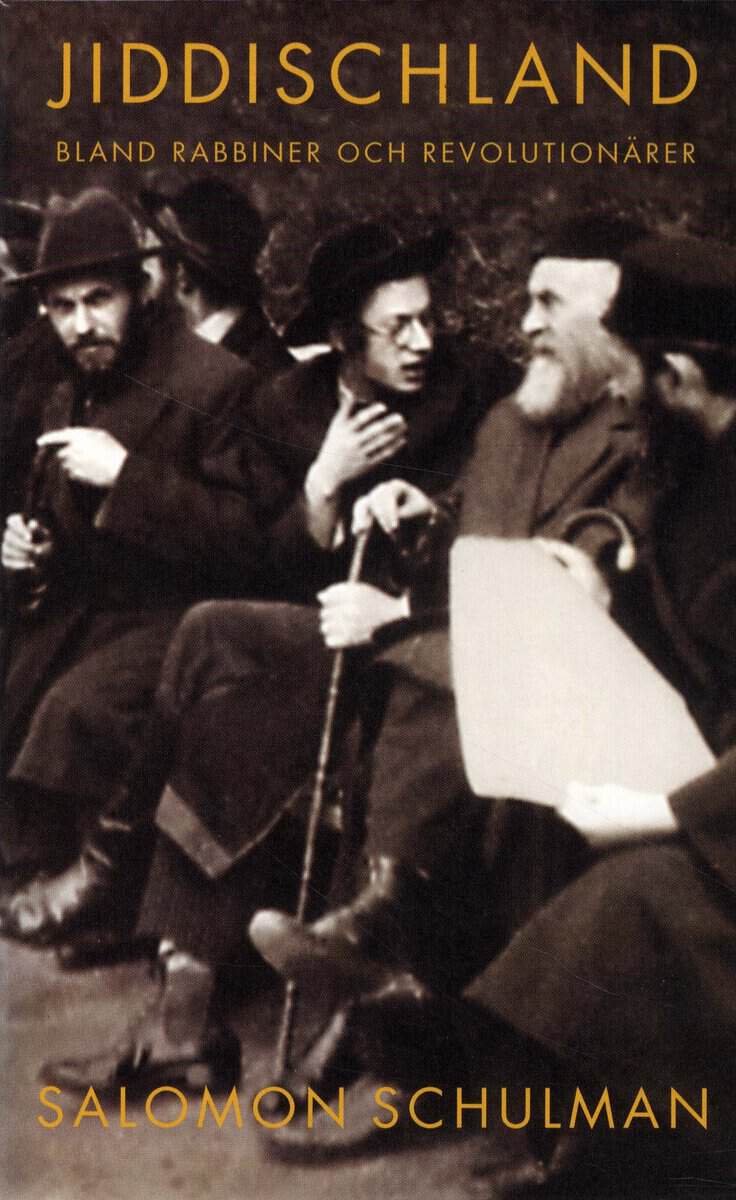 Salomon Schulman : Jiddischland : bland rabbiner och revolutionärer