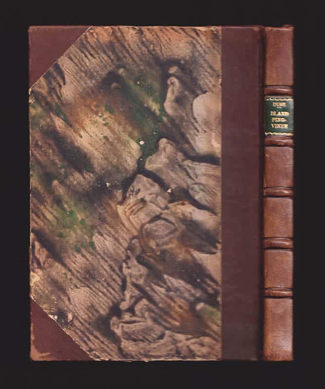 S. A. Duse : Bland pingviner och sälar