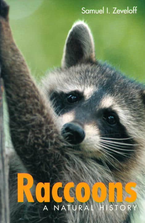 Samuel I Zeveloff : Raccoons