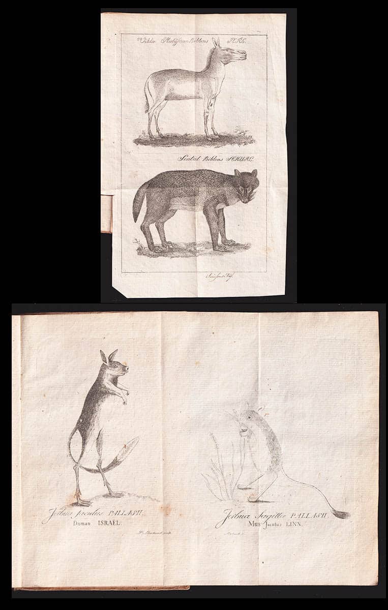 Samuel Ödmann : Strödde samlingar utur naturkunnigheten; till den heliga skrifts upplysning. Första-fjerde flocken (av 6)