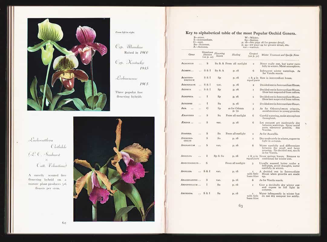 Sander, David ; Cooper, E. : Orchids and Their Cultivation