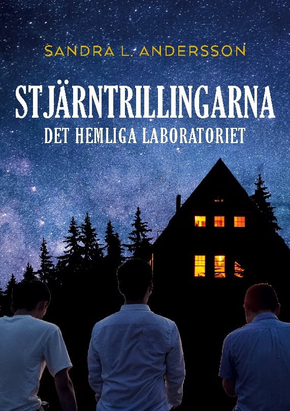 Sandra L. Andersson : Det hemliga laboratoriet