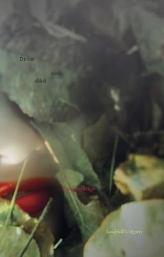 Sandybell U Ryytty : Dröm och dåd