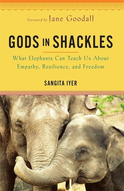 Sangita Iyer : Gods in Shackles