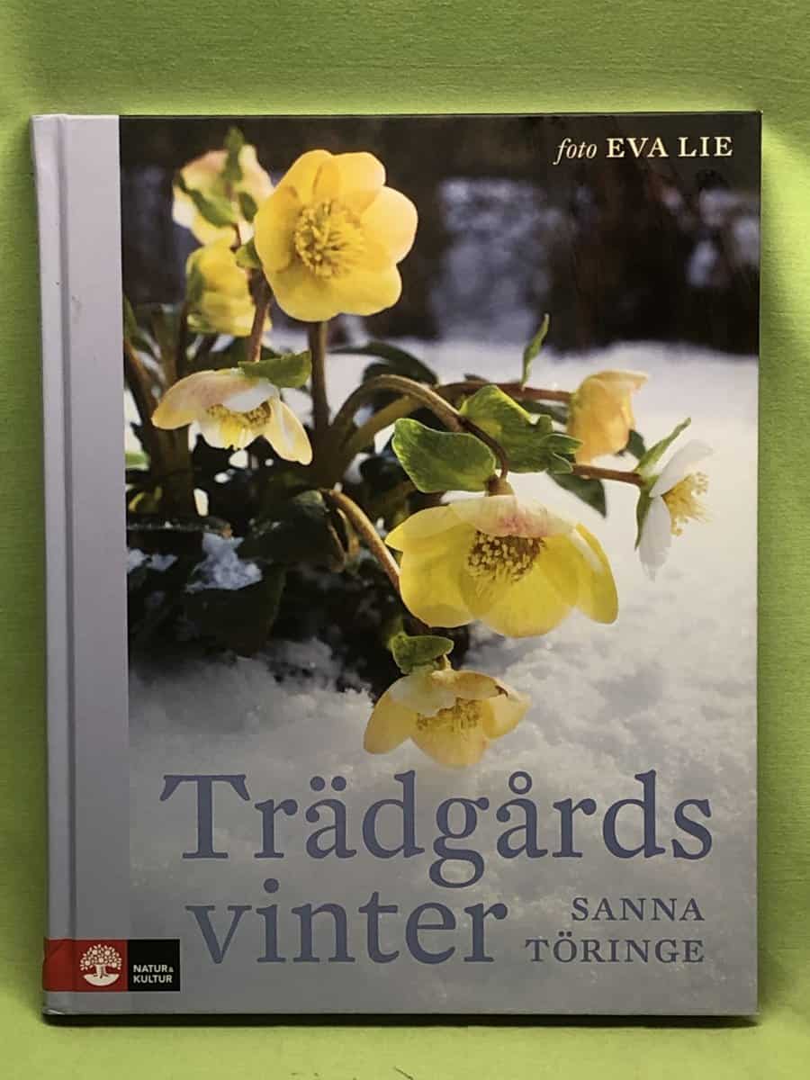 Sanna Töringe : Trädgårdsvinter