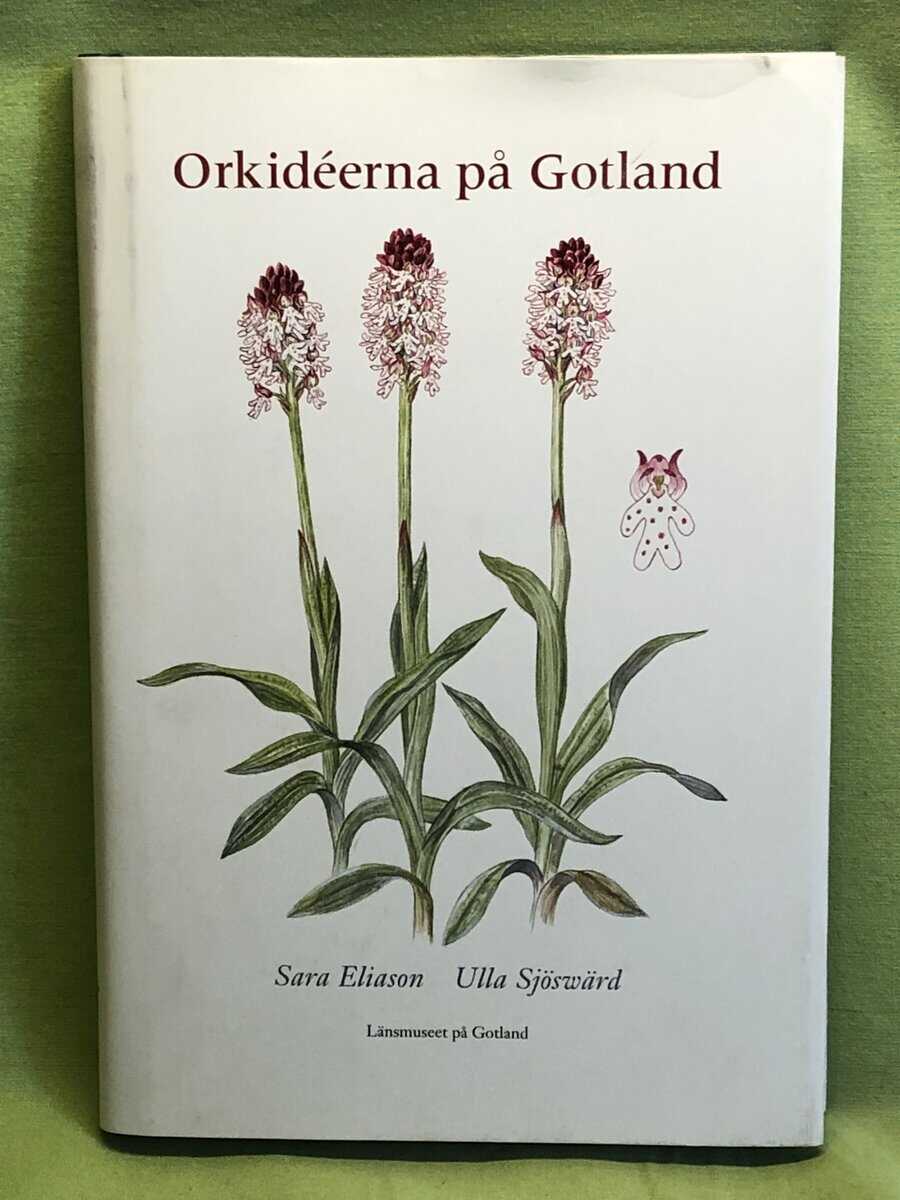 Sara Eliason : Orkidéerna på Gotland