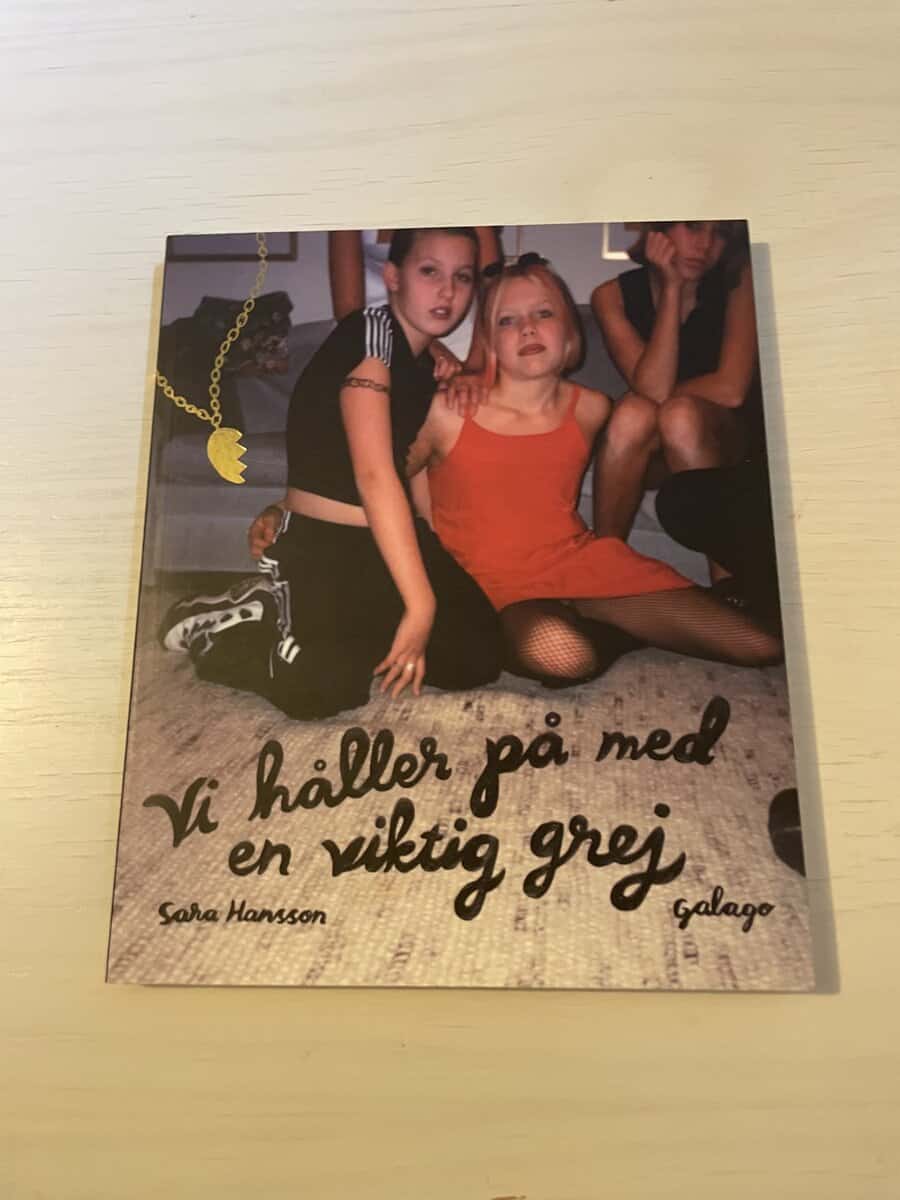 Sara Hansson : Vi håller på med en viktig grej