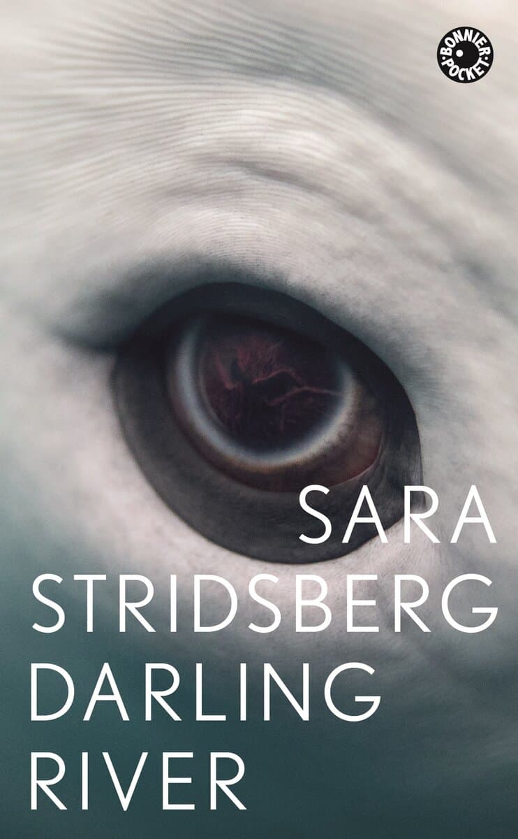 Sara Stridsberg : Darling River