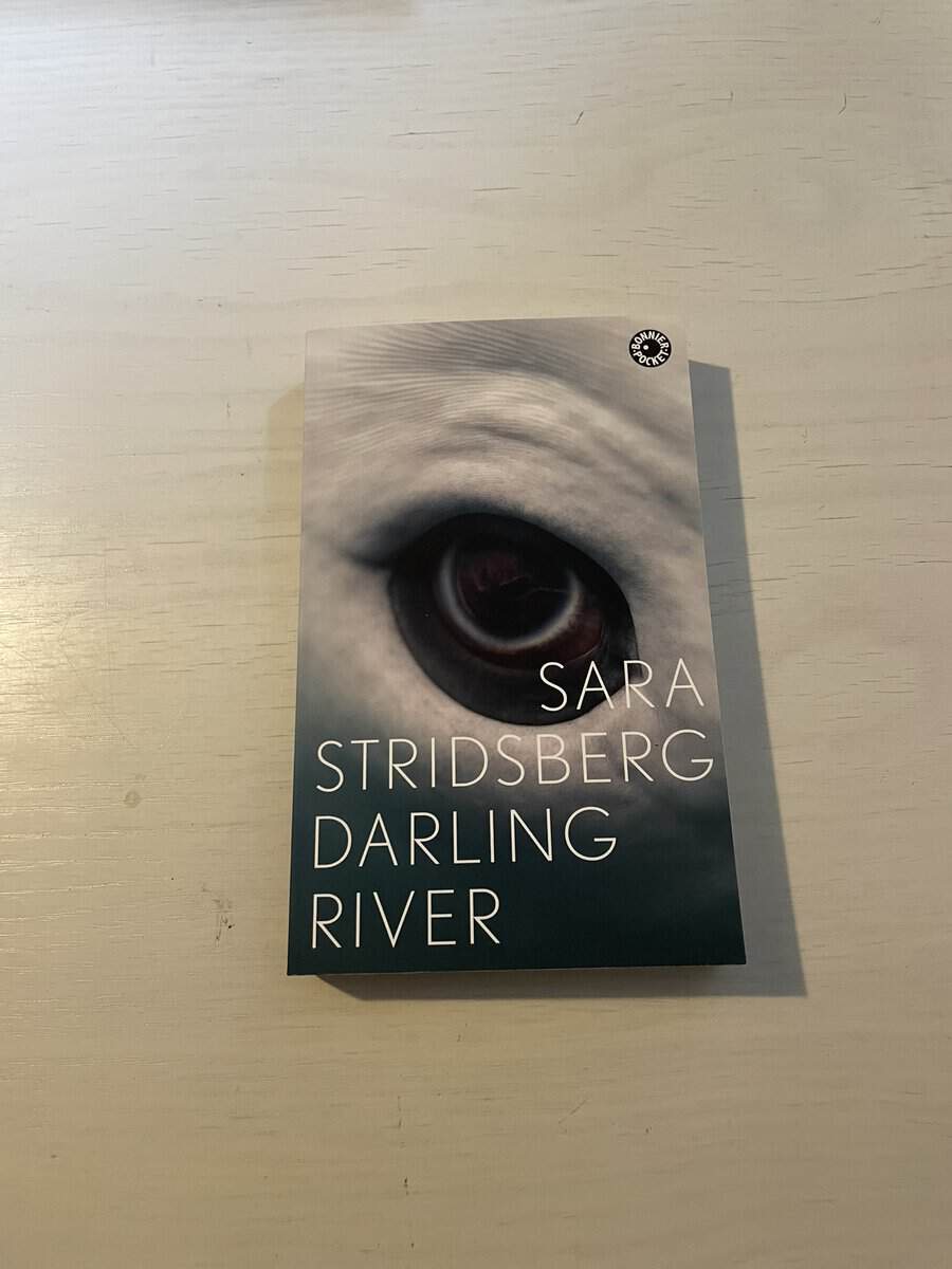 Sara Stridsberg : Darling River