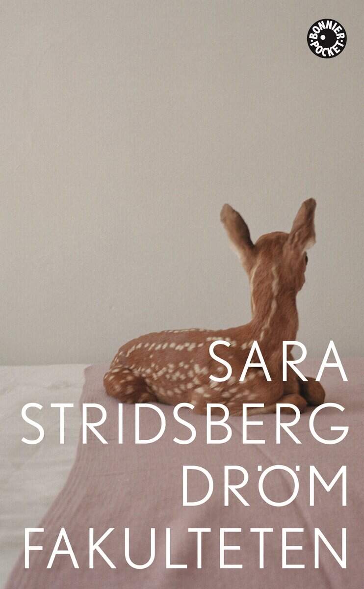 Sara Stridsberg : Drömfakulteten
