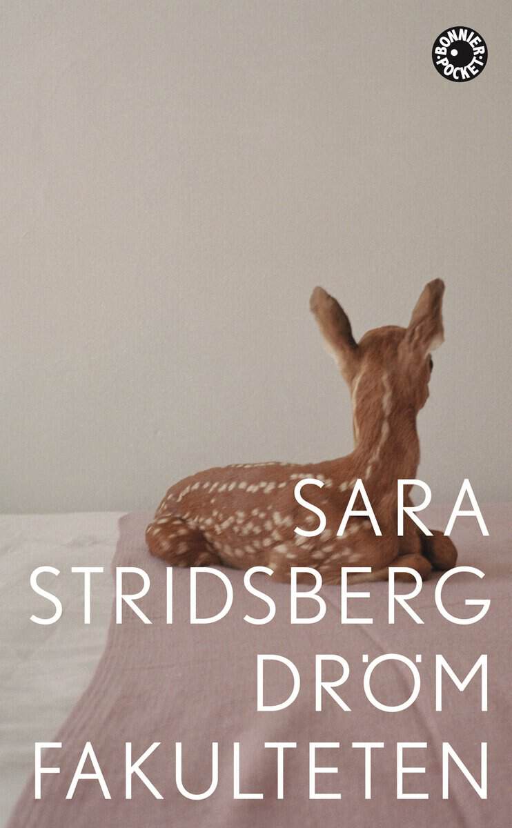 Sara Stridsberg : Drömfakulteten