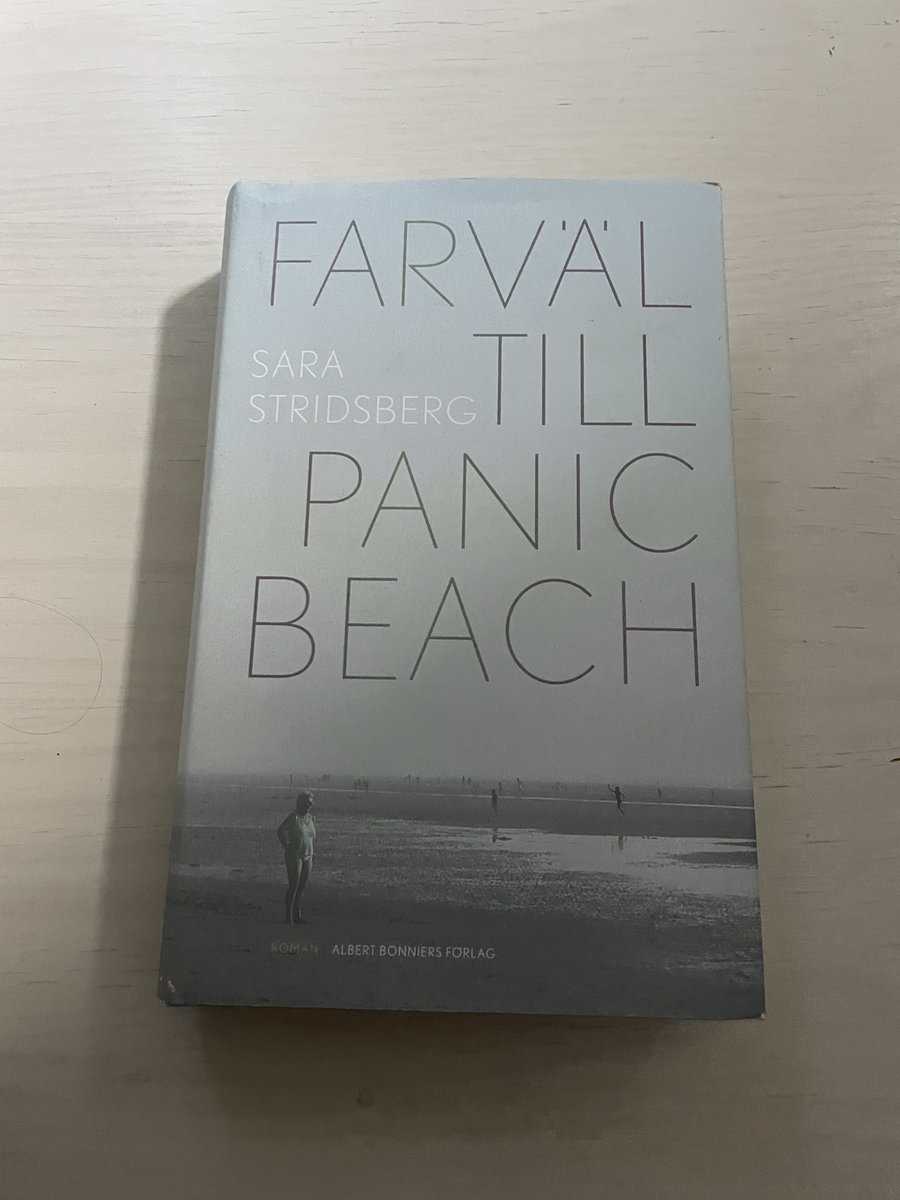 Sara Stridsberg : Farväl till Panic Beach