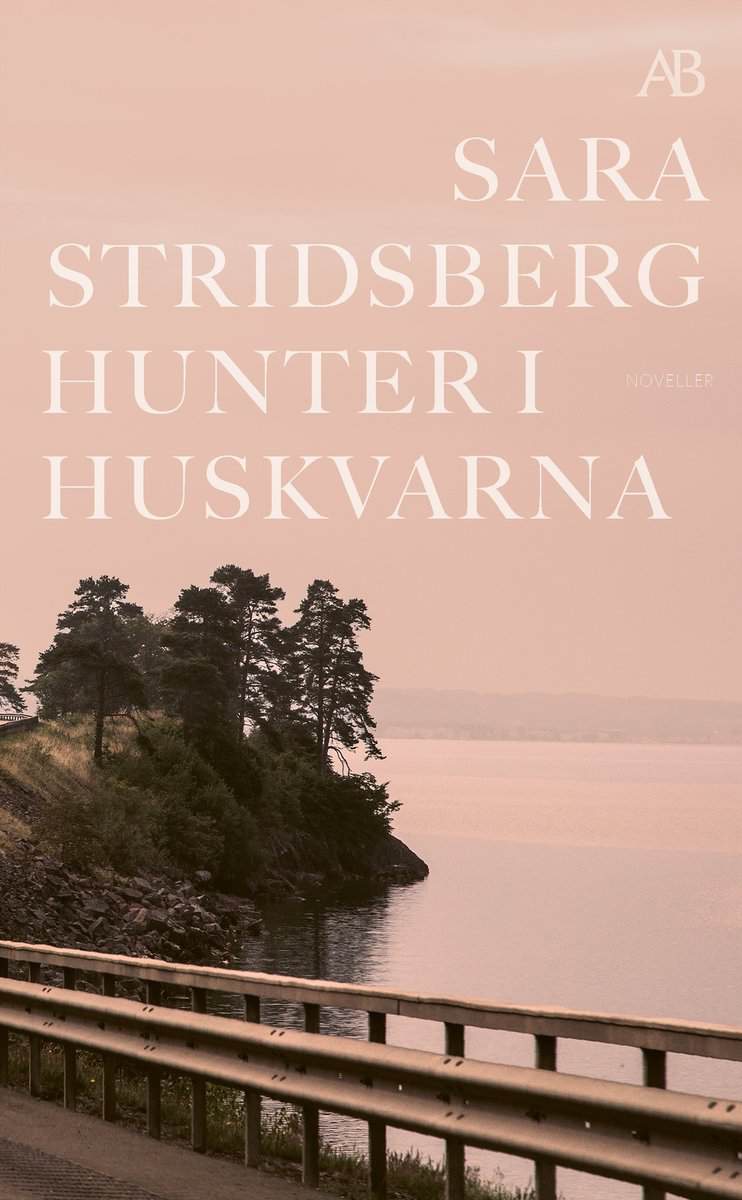 Sara Stridsberg : Hunter i Huskvarna