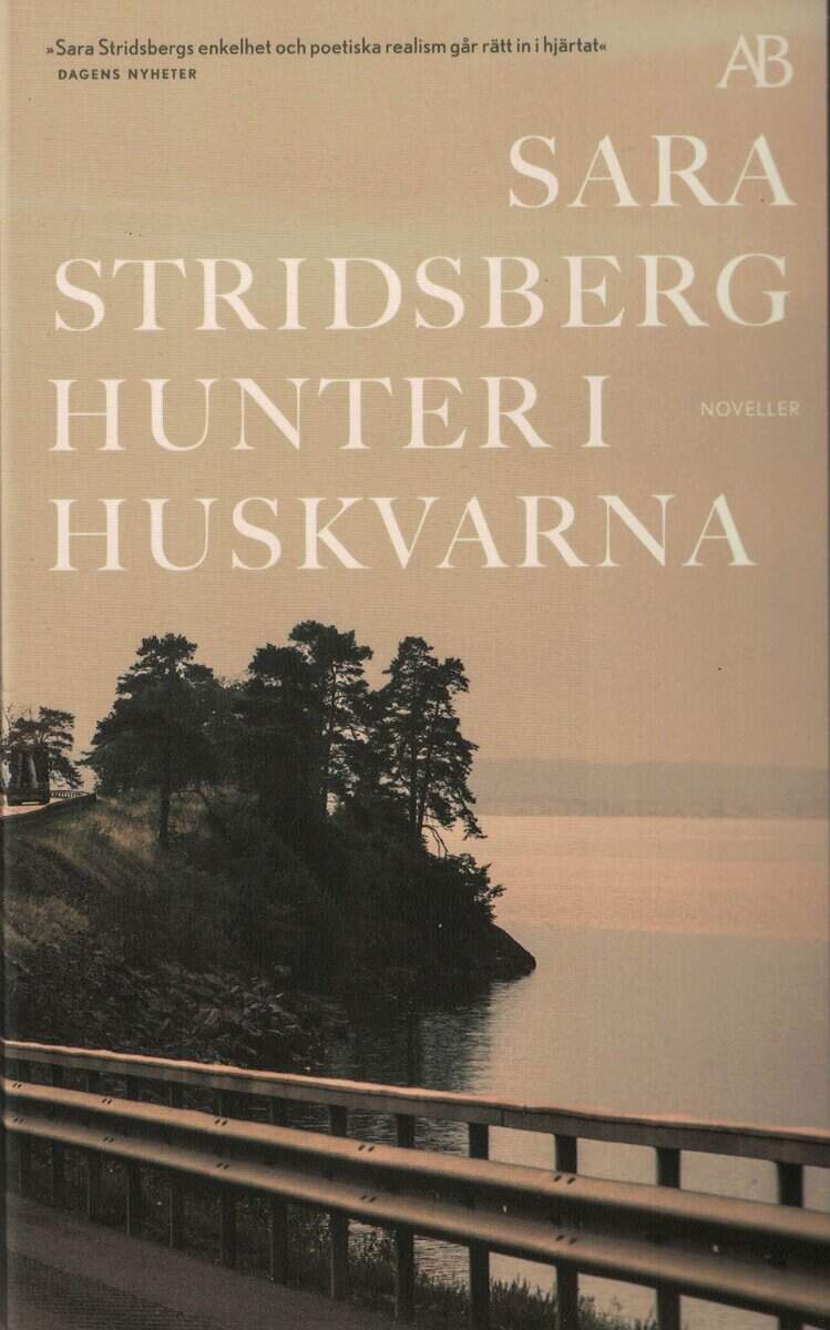 Sara Stridsberg : Hunter i Huskvarna