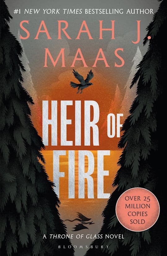 Sarah J. Maas : Heir of fire