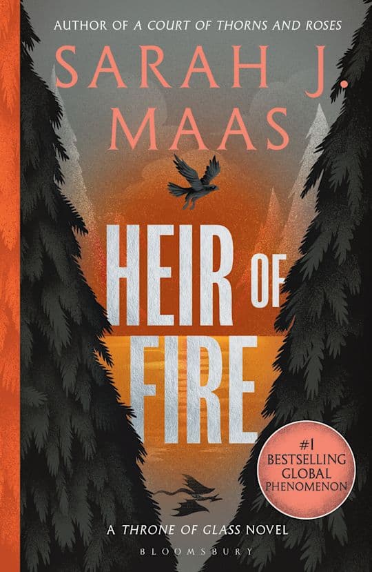 Sarah J. Maas : Heir of fire