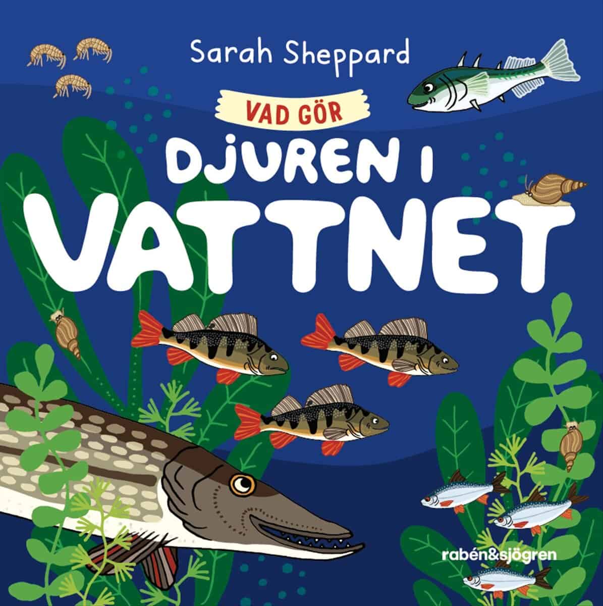 Sarah Sheppard : Vad gör djuren i vattnet?