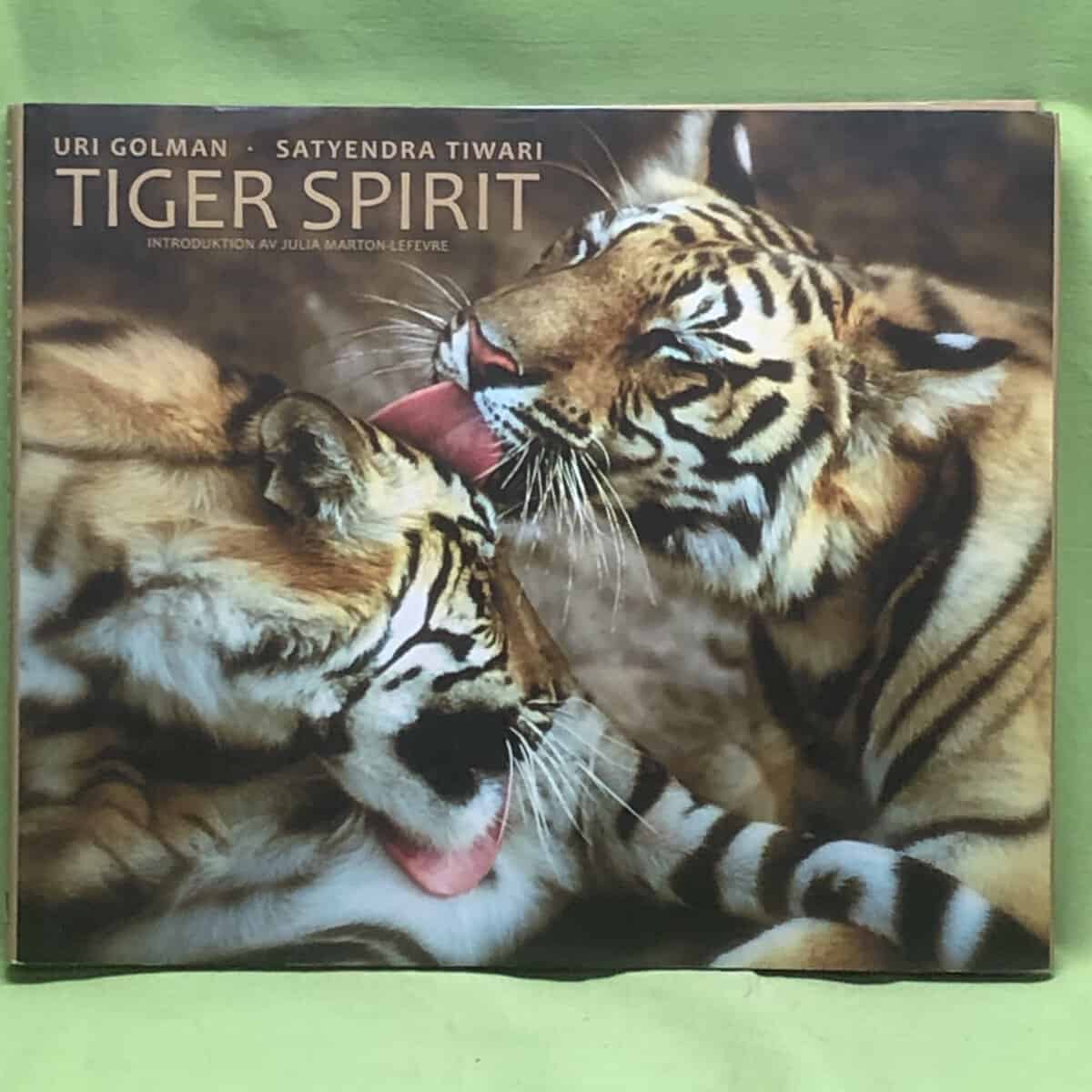 Satyendra Tiwari Uri Golman : Tiger Spirit