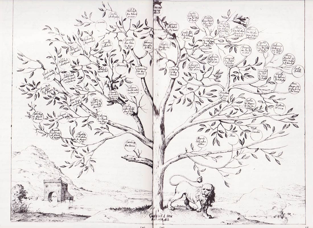 Schering Rosenhane : Hortus regius