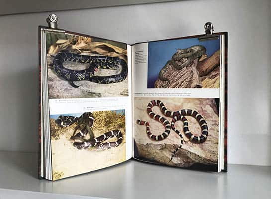 Schmidt, Karl P. ; Inger, Robert F : Reptiler