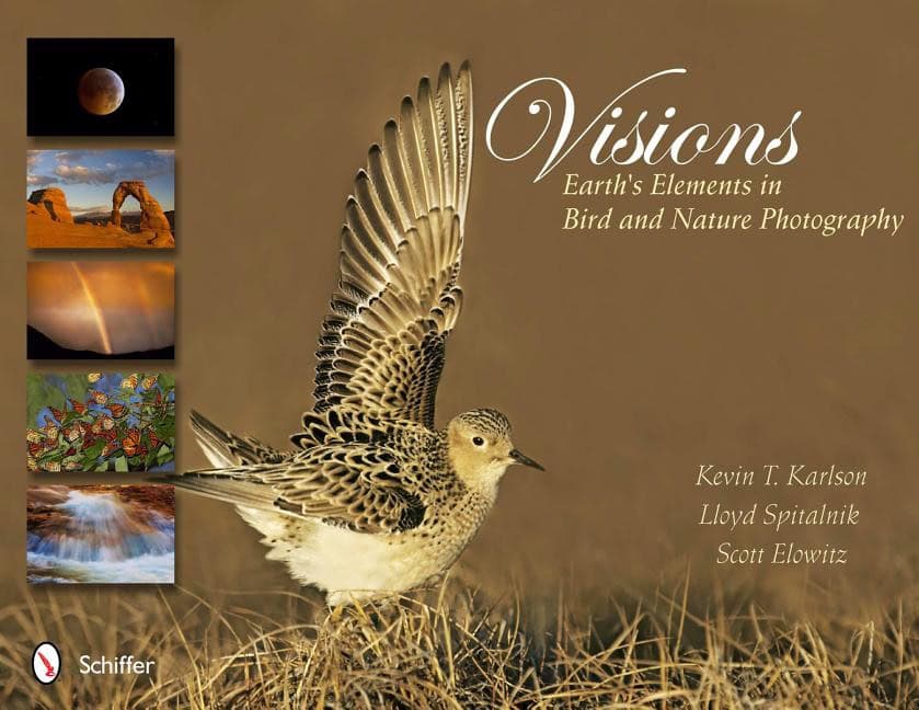 Scott Elowitz : Visions