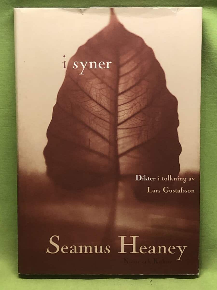Seamus Heaney : I syner