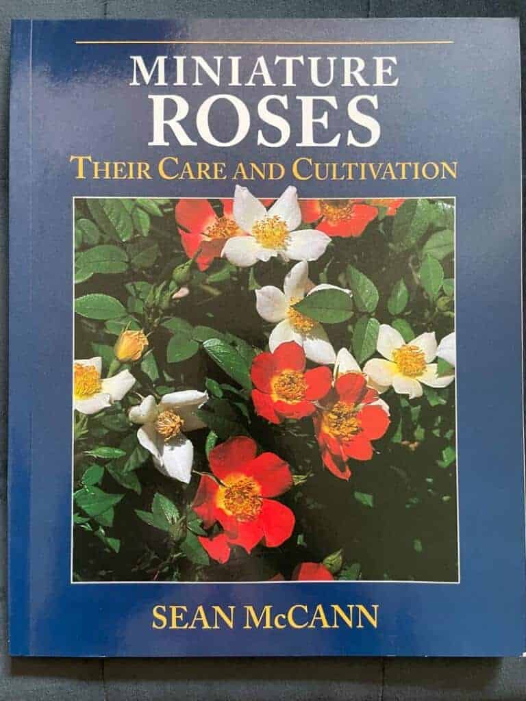 Sean McCann : Miniature Roses
