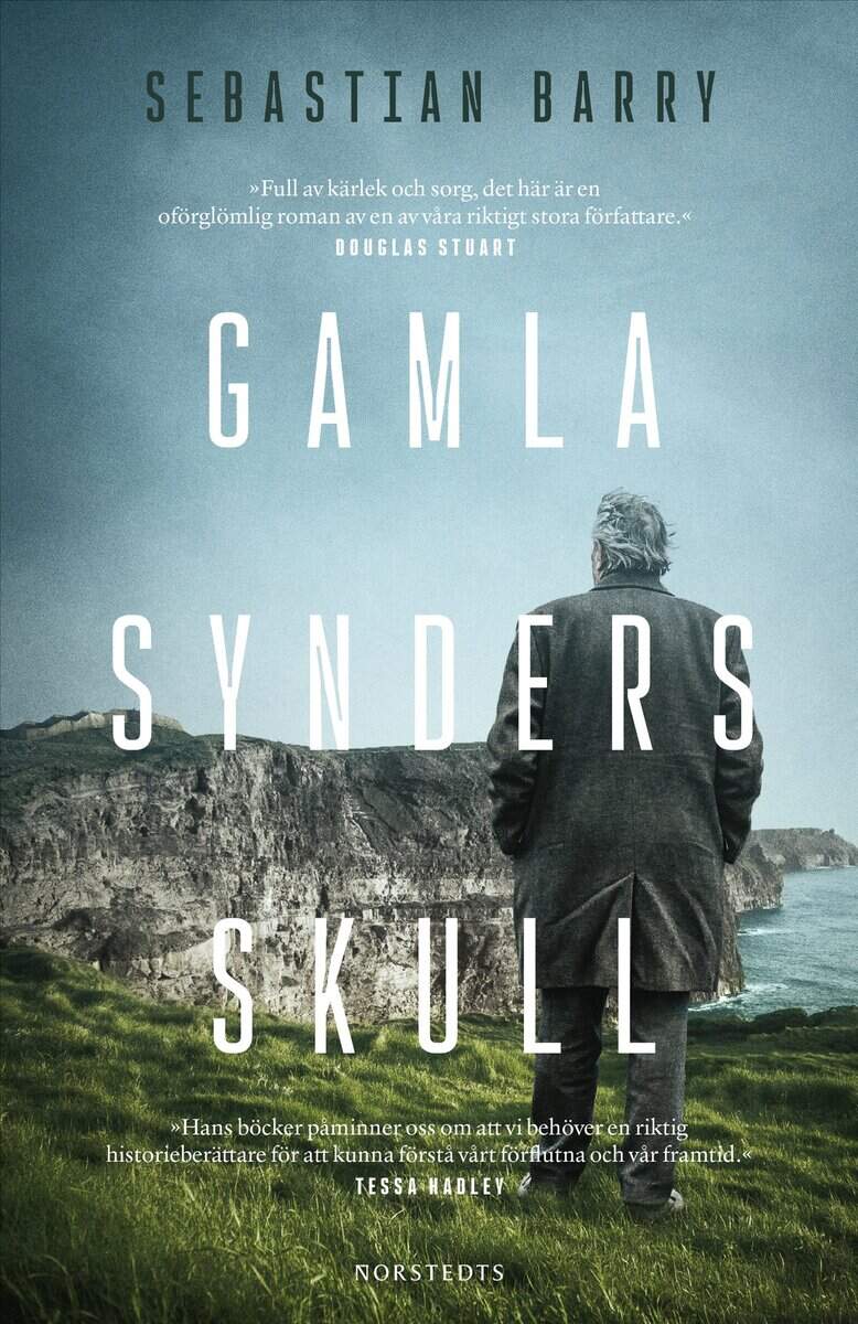 Sebastian Barry : Gamla synders skull